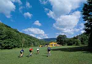 New River: West Virginia Whitewater Rafting