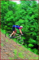west virginia bike, mountain bike, bicycle, mountain biking, west virginia