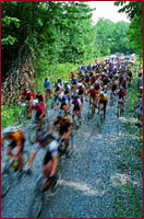 west virginia bike, mountain bike, bicycle, mountain biking, west virginia
